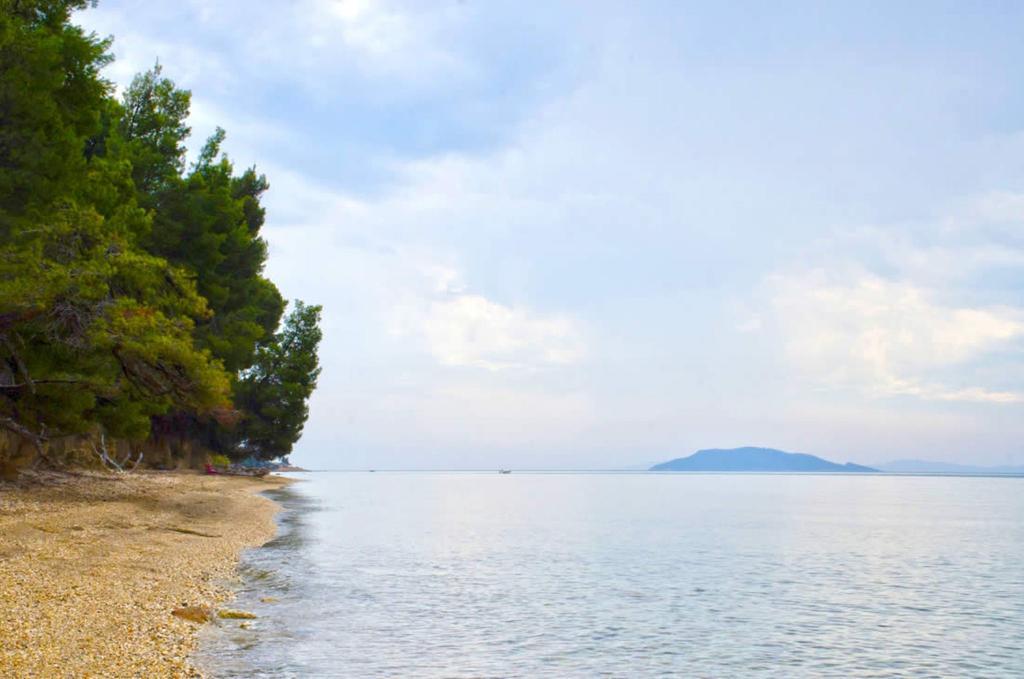 Elia Apartments Sithonia Extérieur photo